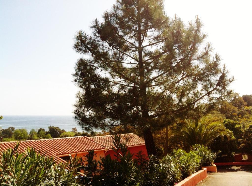 Hotel Residence San Pieru Tarcu Dış mekan fotoğraf