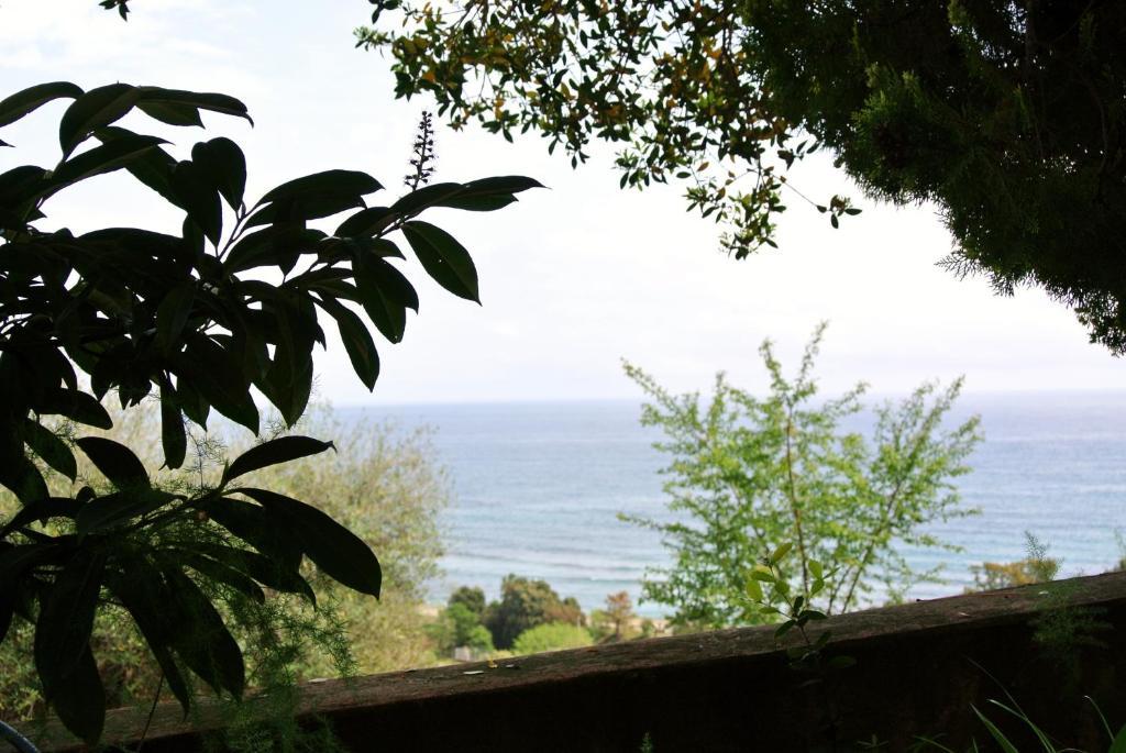 Hotel Residence San Pieru Tarcu Dış mekan fotoğraf