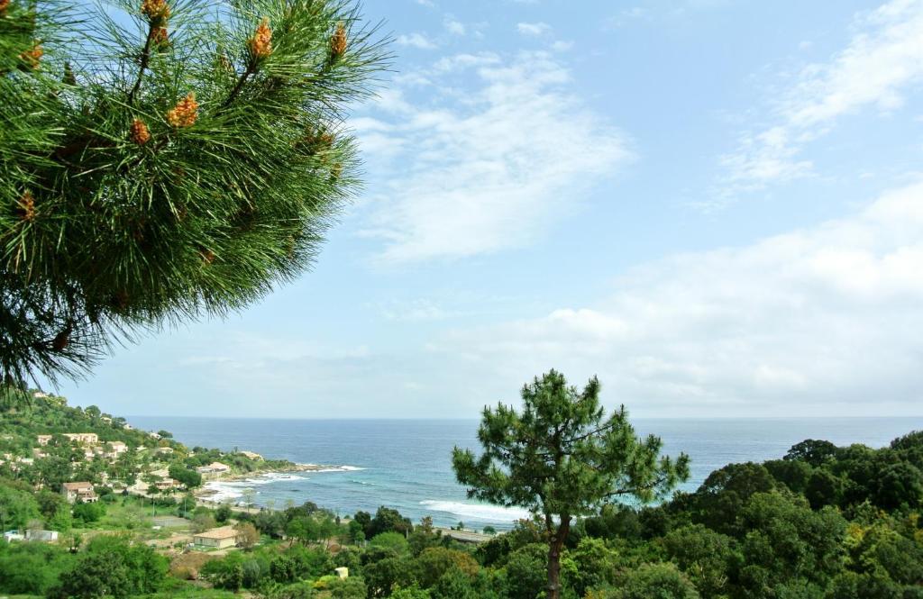 Hotel Residence San Pieru Tarcu Dış mekan fotoğraf