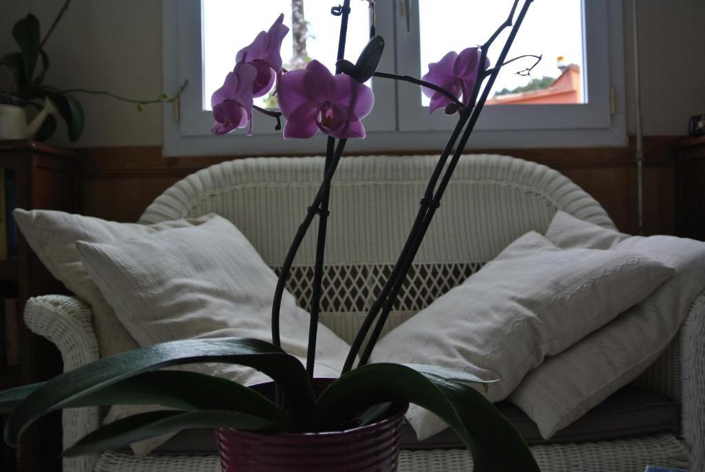 Hotel Residence San Pieru Tarcu Oda fotoğraf