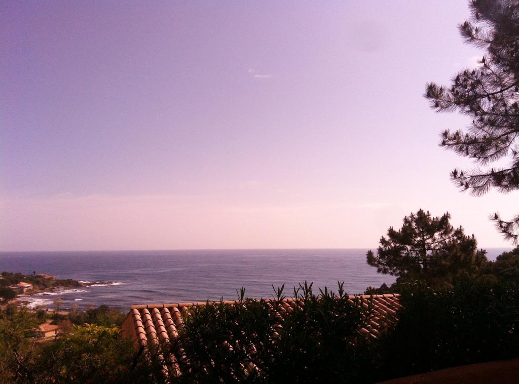 Hotel Residence San Pieru Tarcu Dış mekan fotoğraf